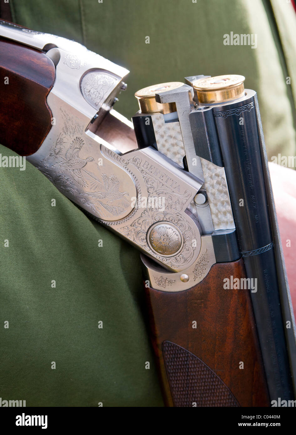 A twelve over and under shot gun open and showing cartridges, at rest