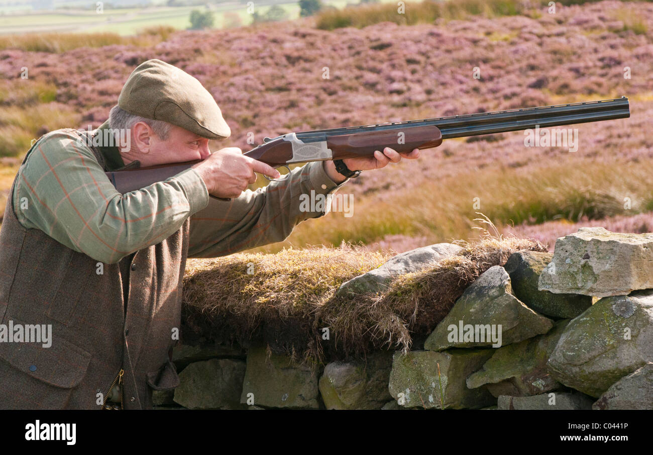 North Yorkshire, England UK  - A man or Gun with a shotgun on a English grouse moor about to shoot Stock Photo