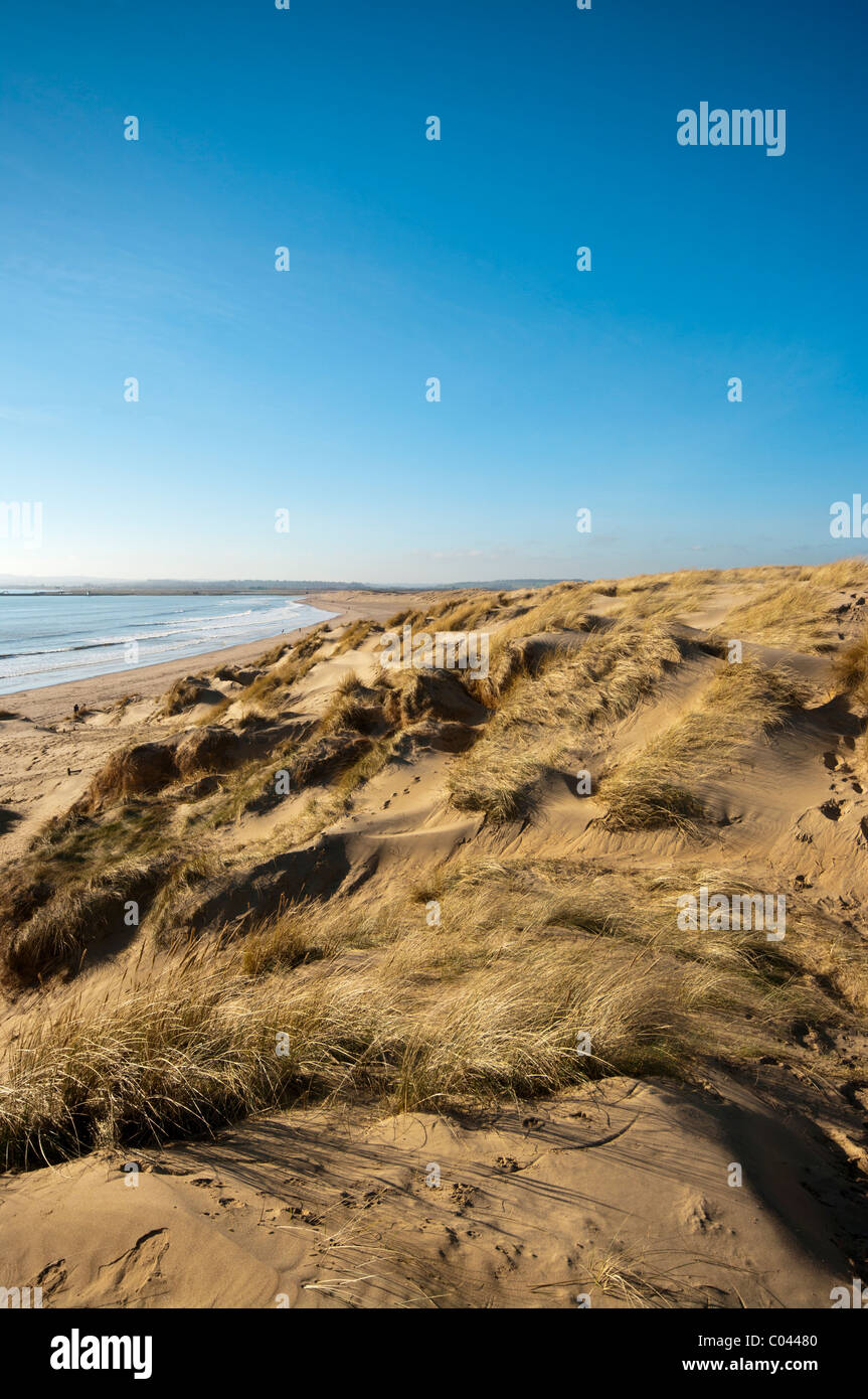 Sand Dunes Camber Sands East Sussex England Stock Photo