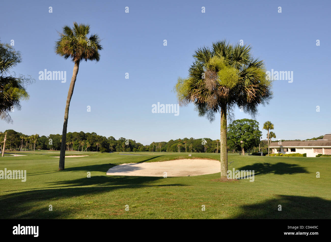 Golf course on Hilton Head Island in South Carolina Stock Photo Alamy