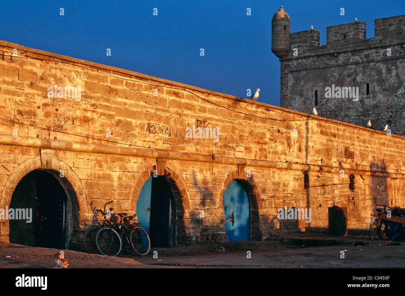 Essaouira, Morocco, the ramparts Stock Photo Alamy