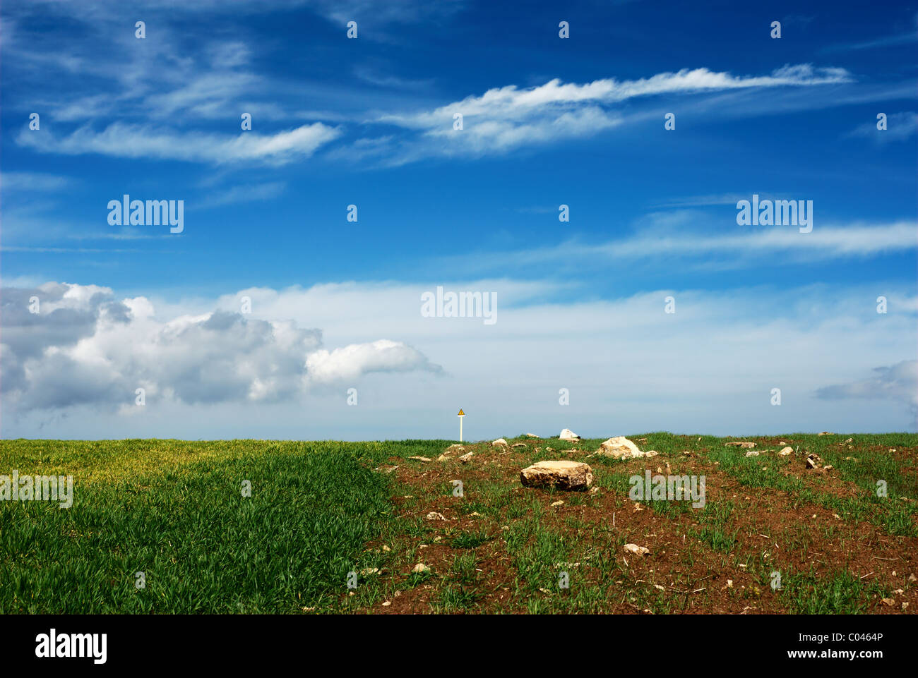 Green wheat field stones and moody sky Stock Photo