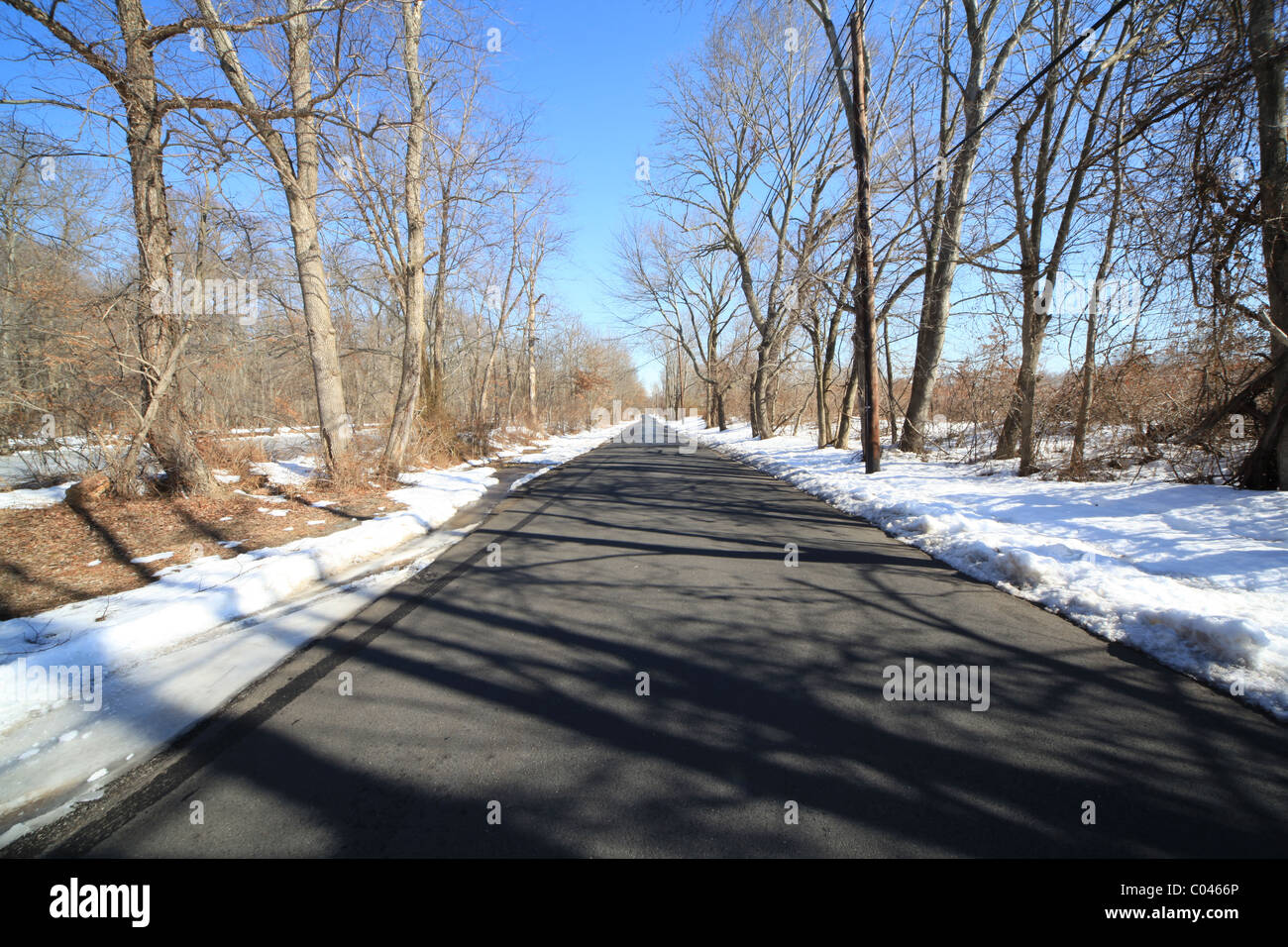 Country Road on a Cold Winter Sunny Day Stock Photo