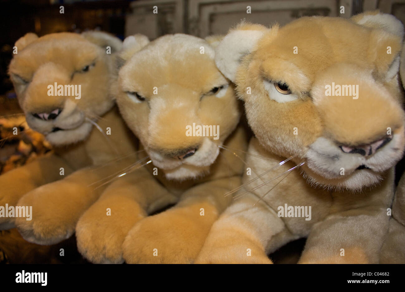Stuffed animals for sale in the gift shop at the MGM Grand Lion Habitat in Las Vegas Stock Photo