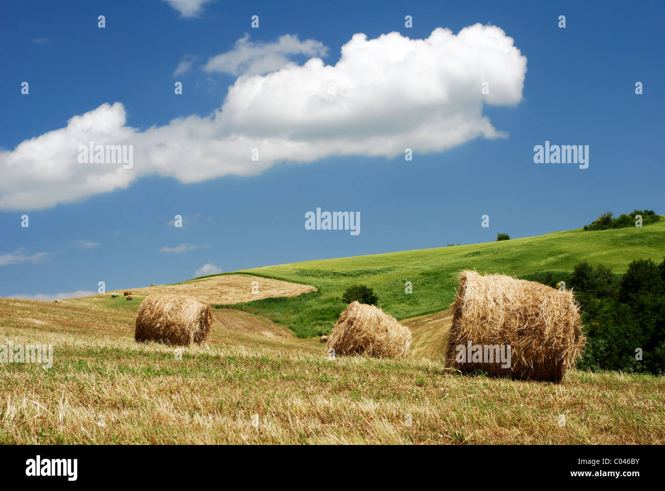 Hay bales over the hillside under blue sky Stock Photo - Alamy
