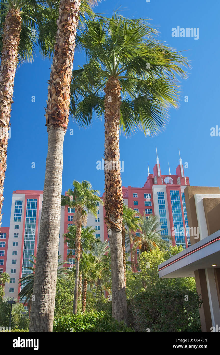 Palm tress in front of the Hilton Grand Vacations Club at the Flamingo in Las Vegas Stock Photo