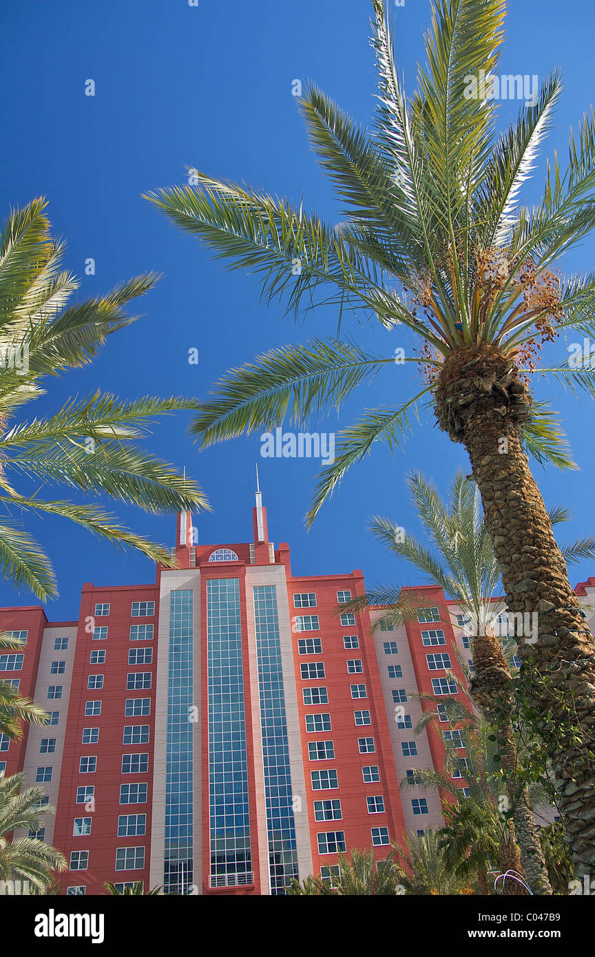 Looking up towards palm trees at the Hilton Grand Vacations Club at the Flamingo in Las Vegas Stock Photo