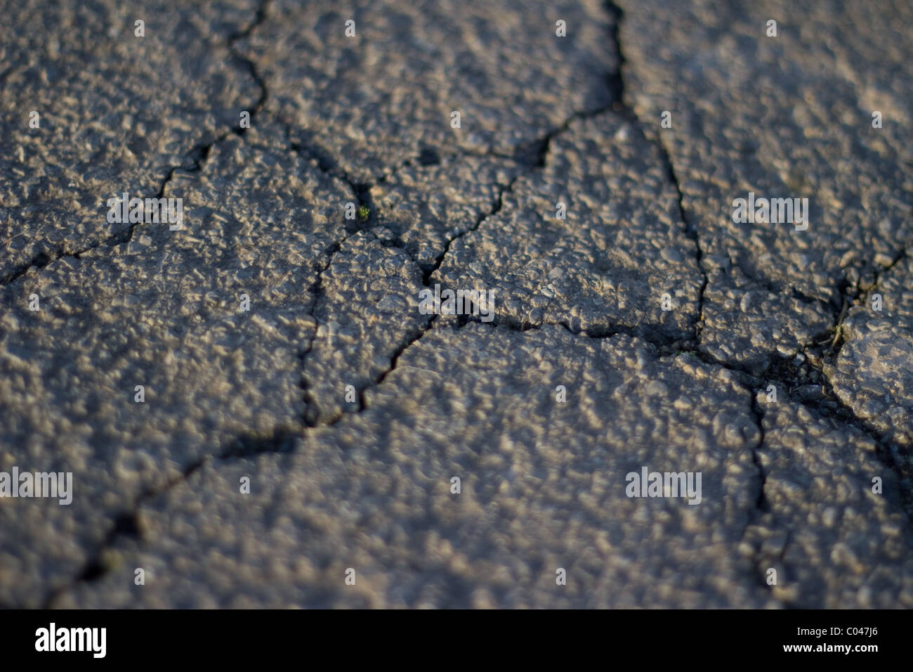 Das Bild zeig Risse in einer Straße. The picture shows cracks in a road. Stock Photo