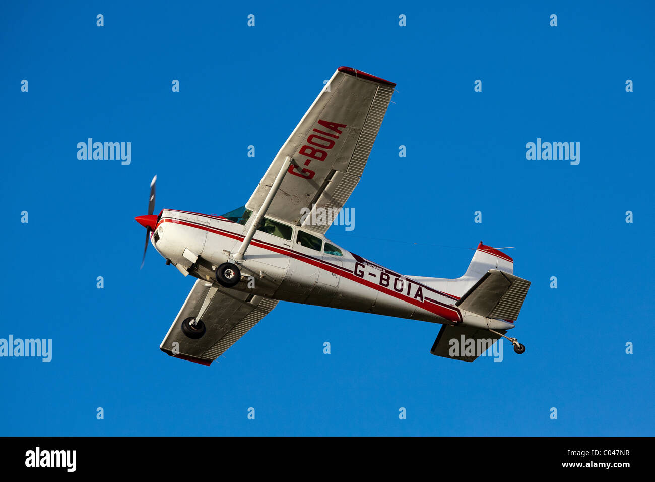 A classic Cessna 180K light aircraft flying at Compton Abbas airfield in England Stock Photo