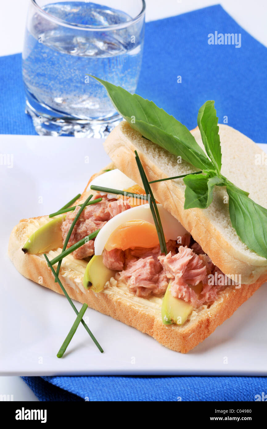 Tuna sandwich with avocado and boiled egg Stock Photo Alamy