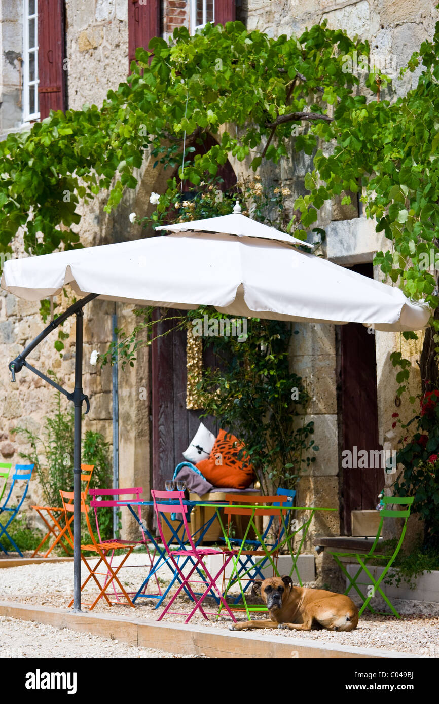 French dog on guard at cafe in historic town of St Jean de Cole, The Dordogne, France Stock Photo