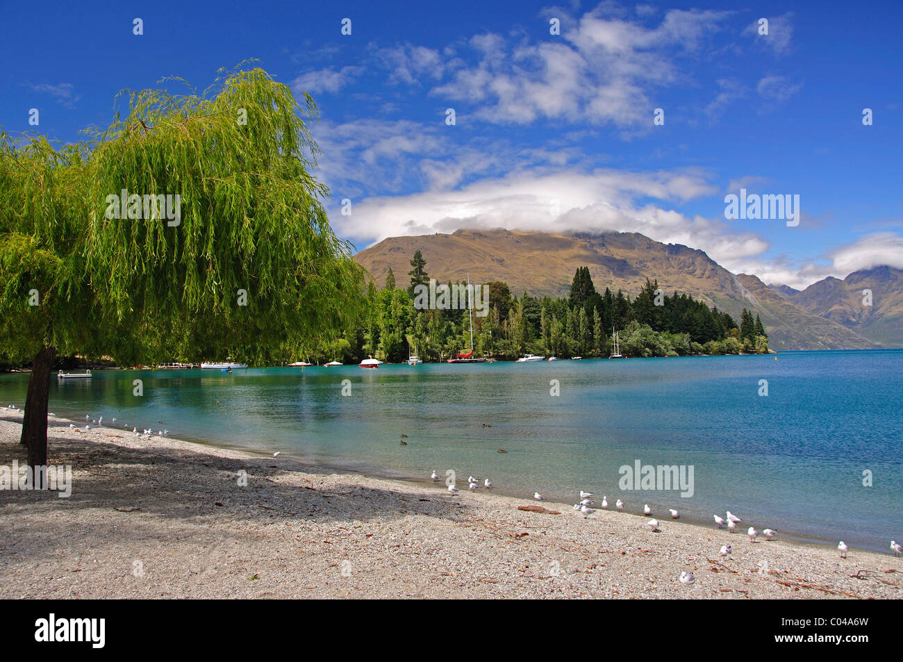 Lake Wakatipu from Queenstown Bay, Queenstown, Otago Region, South Island, New Zealand Stock Photo