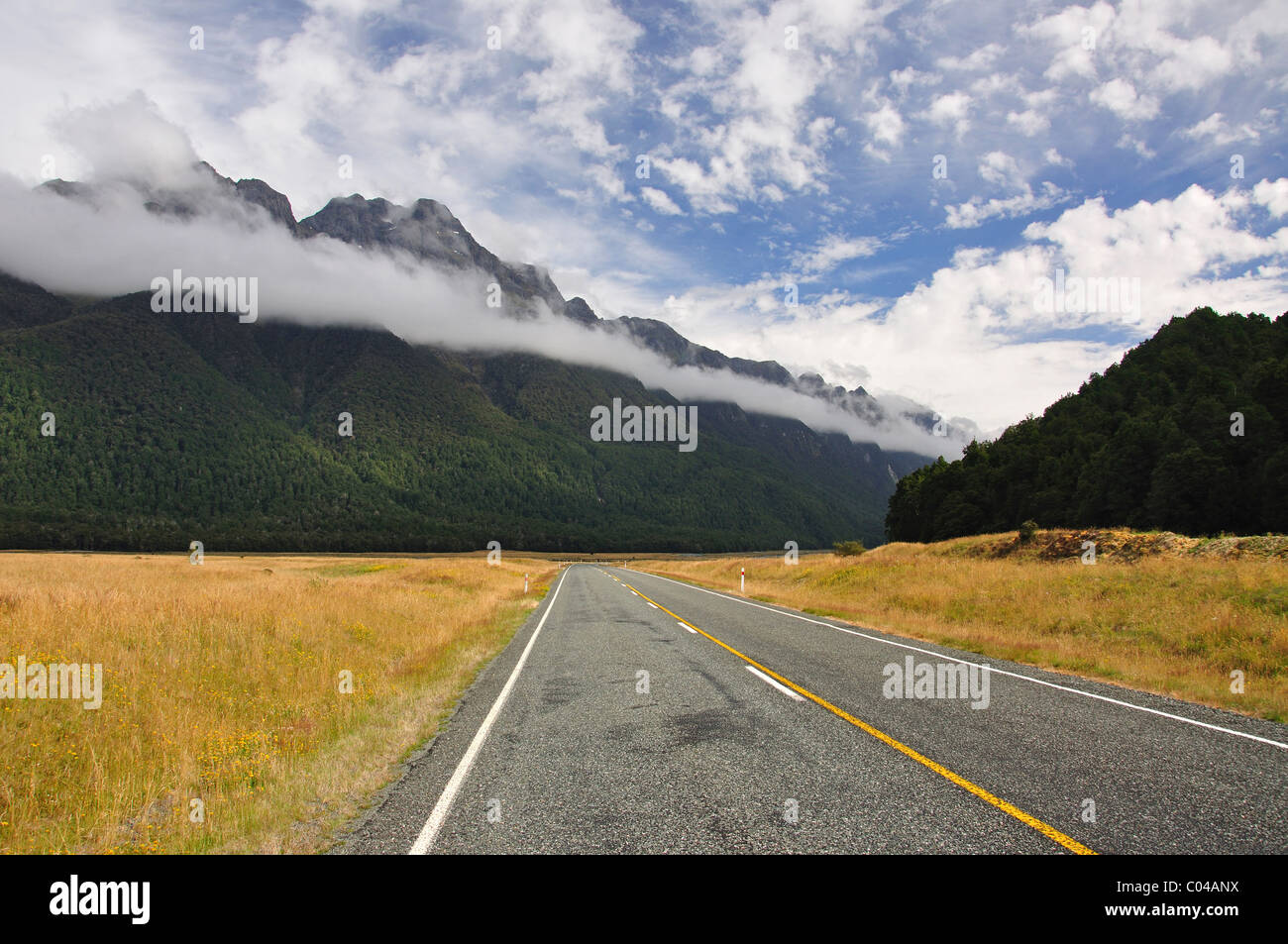 Road to Milford Sound, Fiordland National Park, Southland Region, South Island, New Zealand Stock Photo