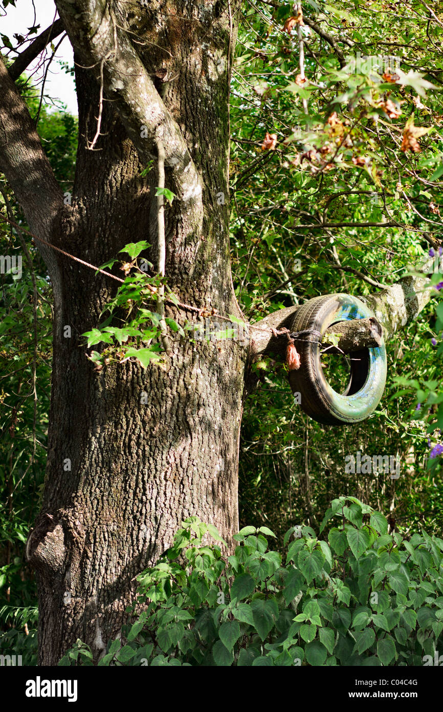 A tyre swing hooked over a branch in a tree. Stock Photo