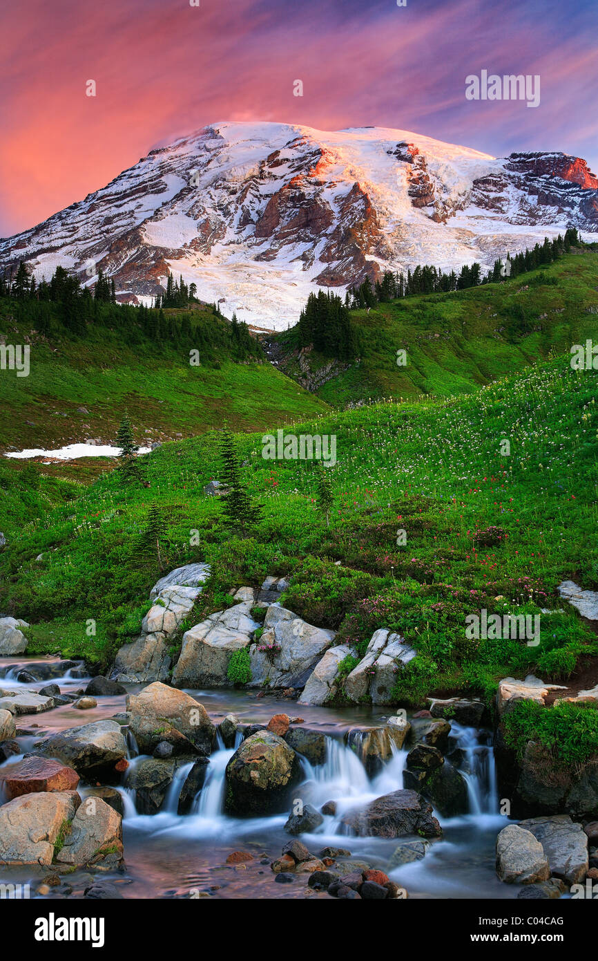Mount Rainier and Edith Creek, Washington, USA Stock Photo