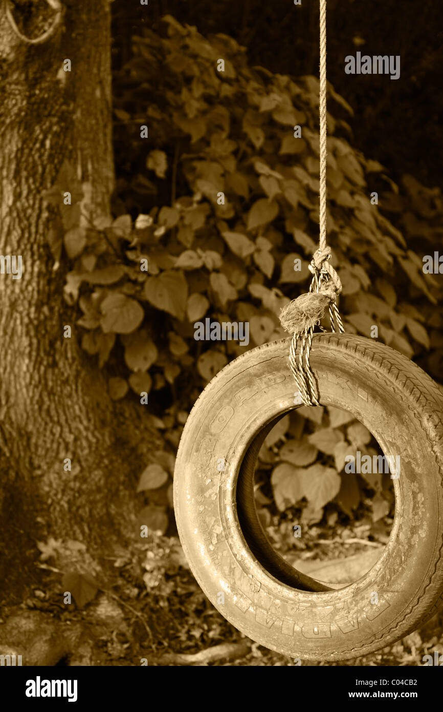 A tyre swing hanging from a garden tree. Sepia. Stock Photo