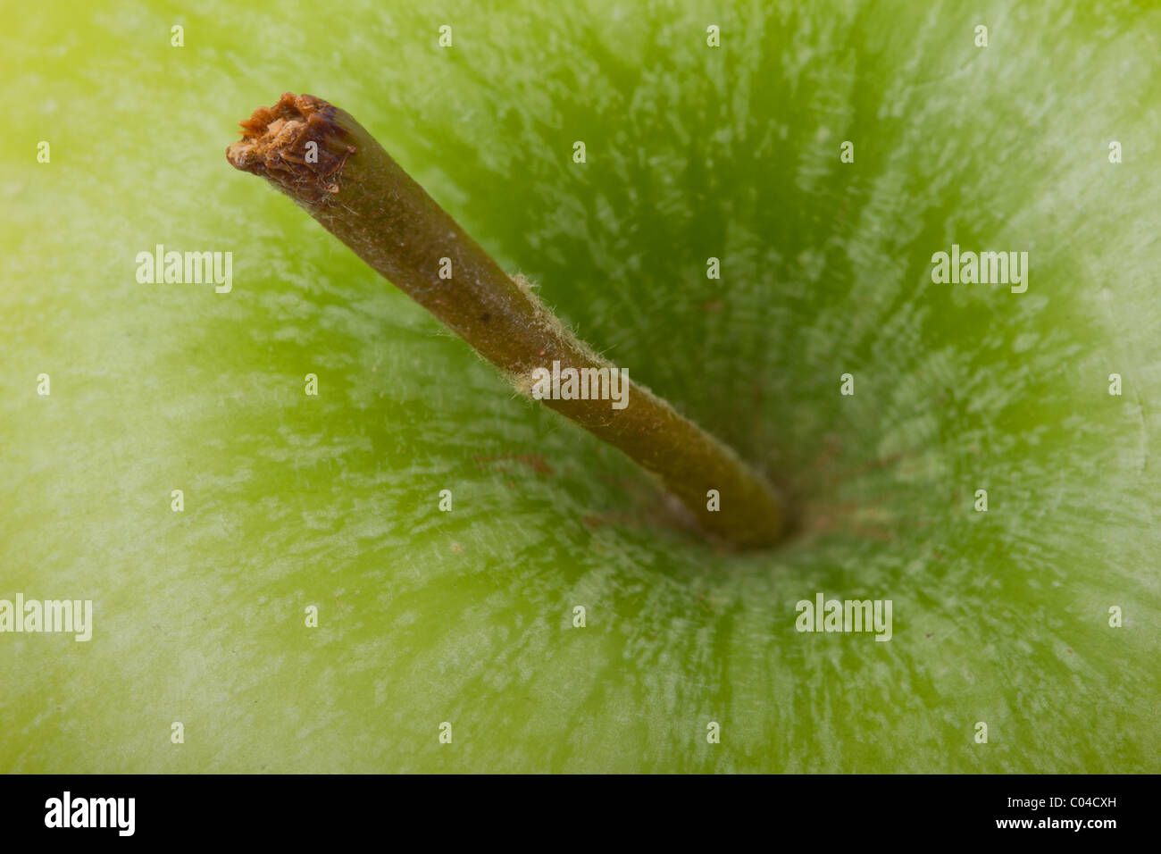 Full frame Green Apple stalk close up background image. Stock Photo