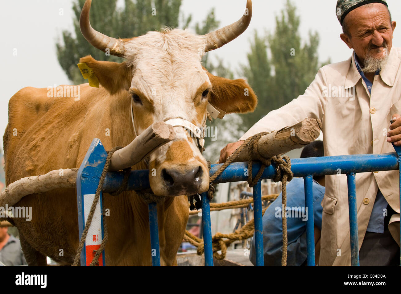 The Sunday market in Kasghar, China. Stock Photo