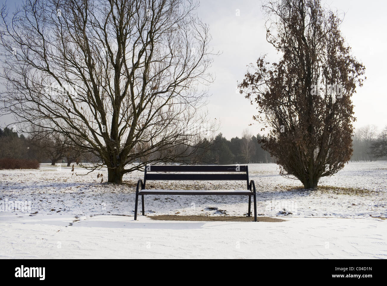 The photography of empty bench covered by snow in the park square ...