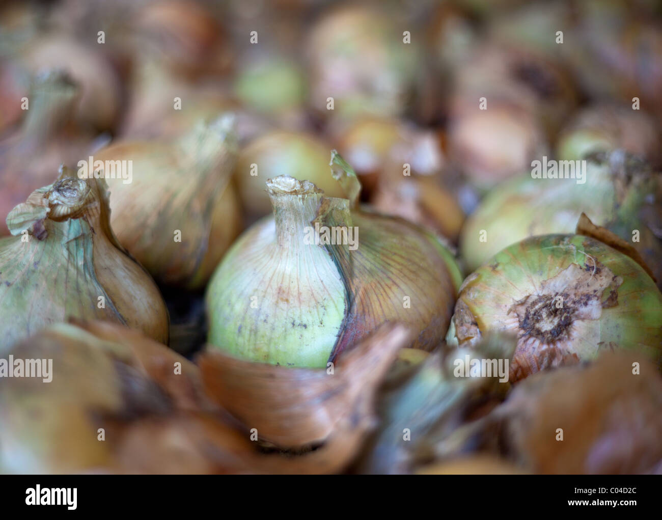 Skin peel hi-res stock photography and images - Alamy