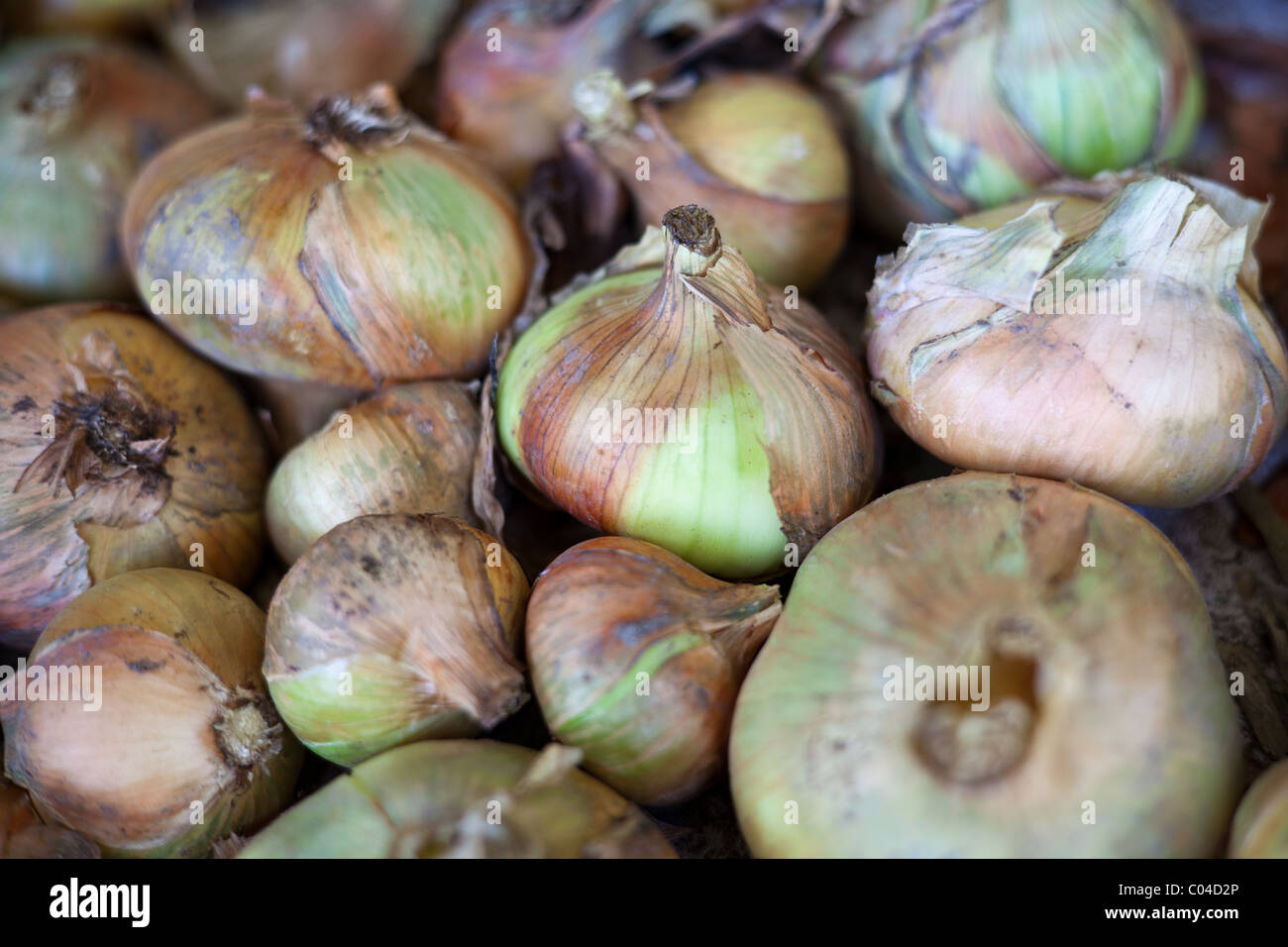 Skin peel hi-res stock photography and images - Alamy