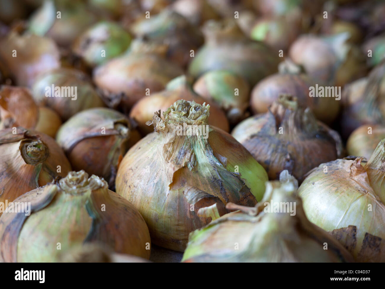Skin peel hi-res stock photography and images - Alamy