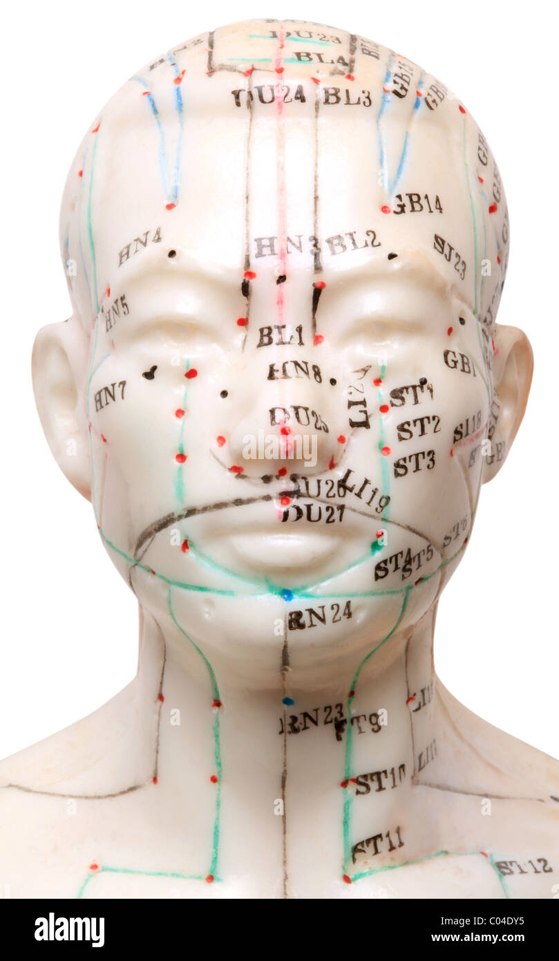 Points and meridians of acupuncture hi-res stock photography and images ...