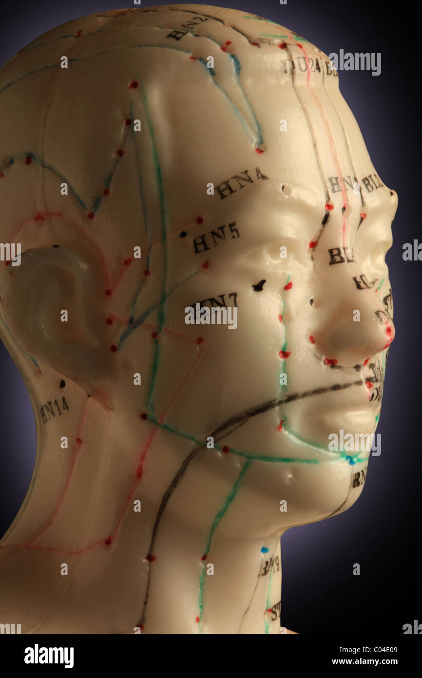 Acupuncture model Stock Photo Alamy