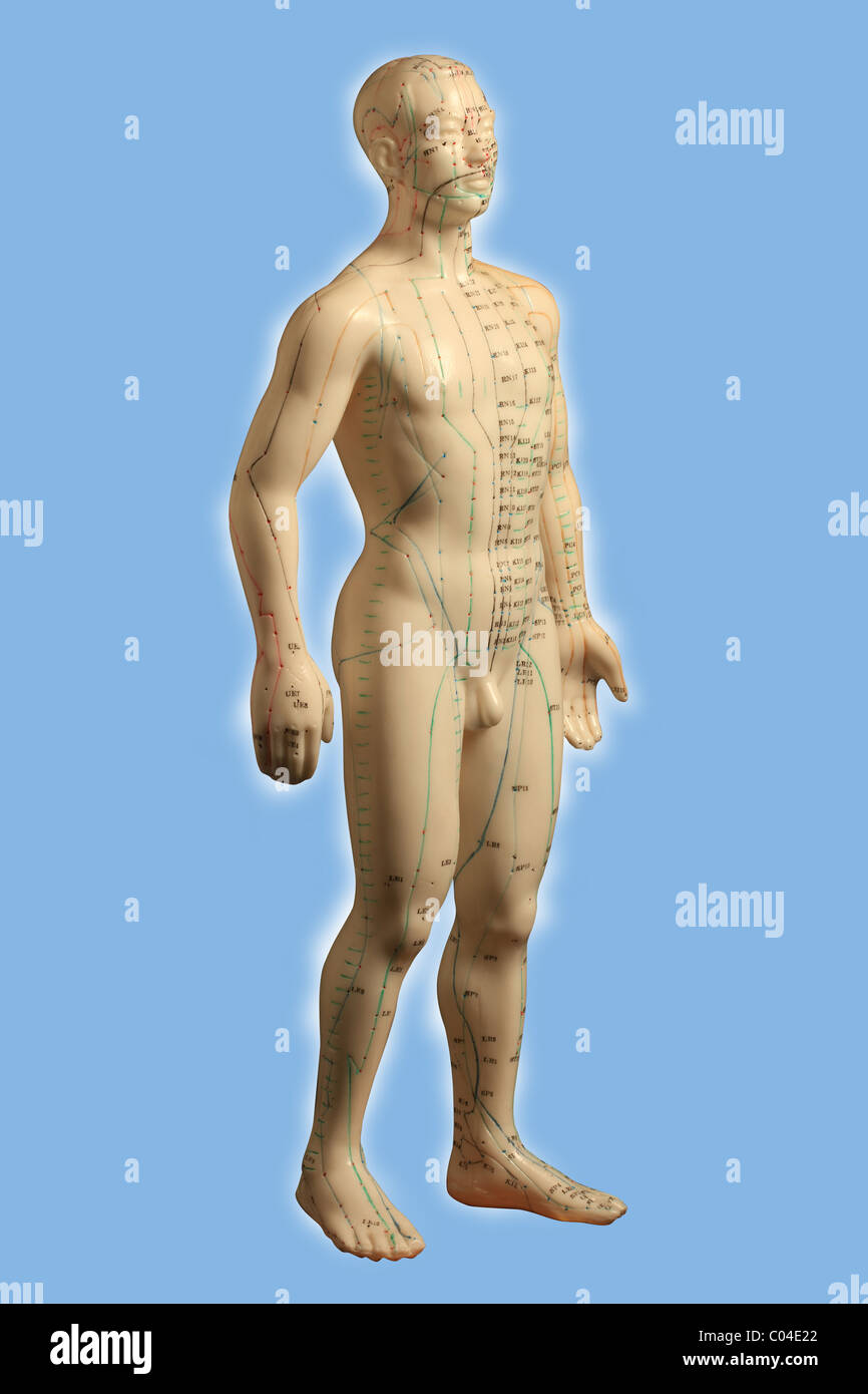 Chinese acupuncture points hi-res stock photography and images - Alamy
