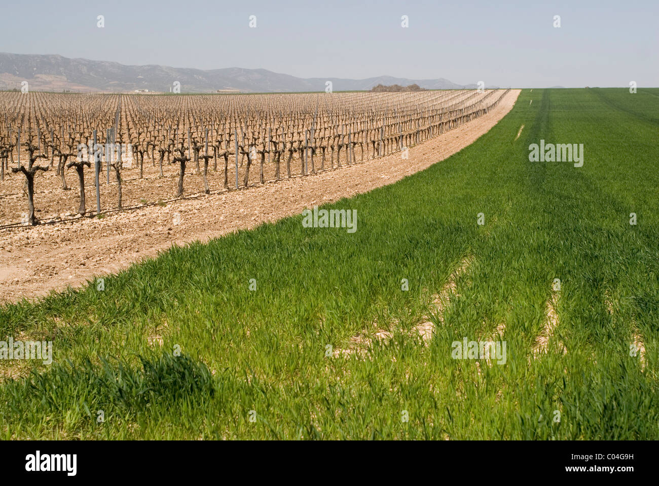 Ciudad Real, Castilla La Mancha, SPAIN Stock Photo