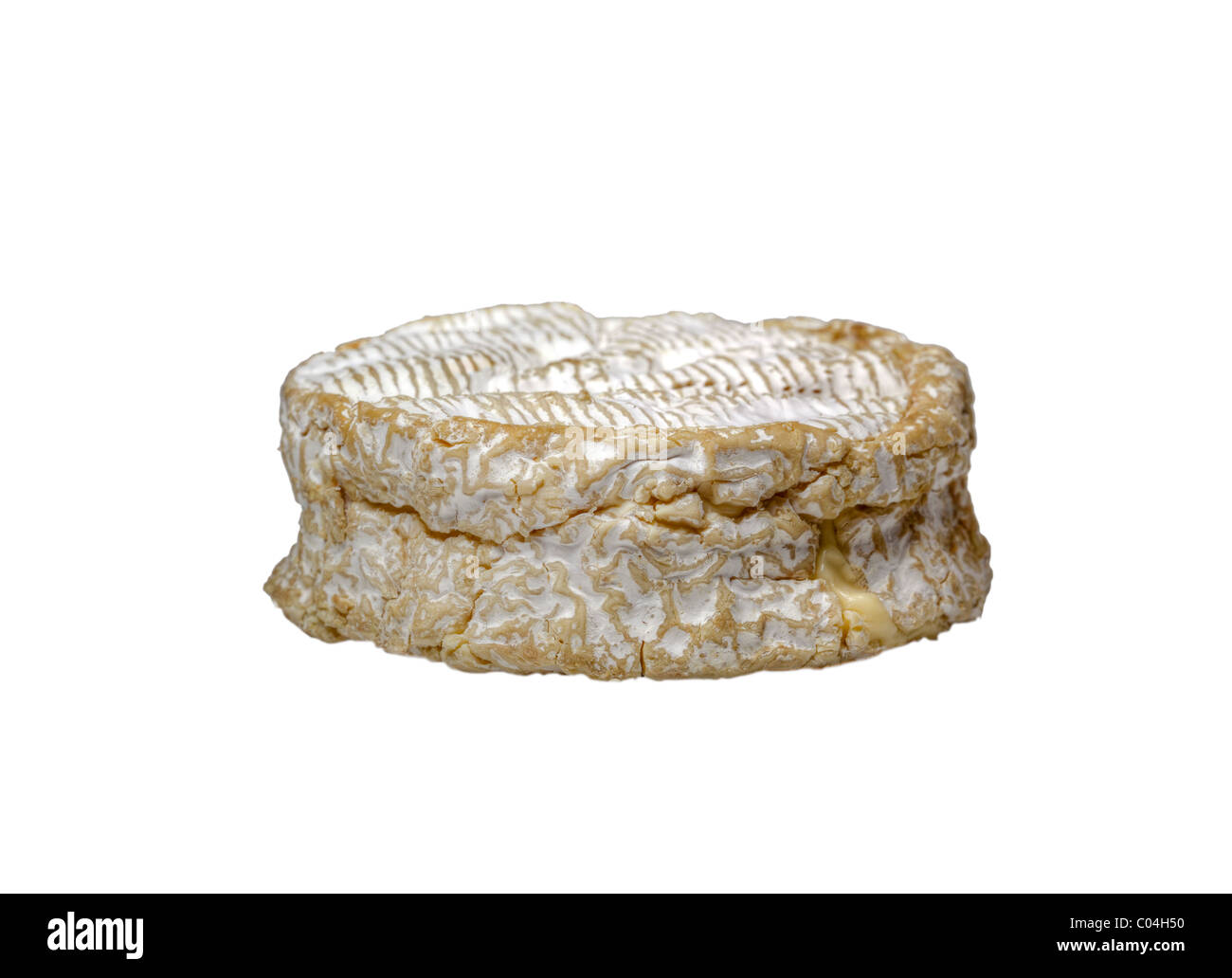 Camembert de Normandie (Normandy) isolated cut out on white, soft French raw milk cheese. Charles Lupica Stock Photo