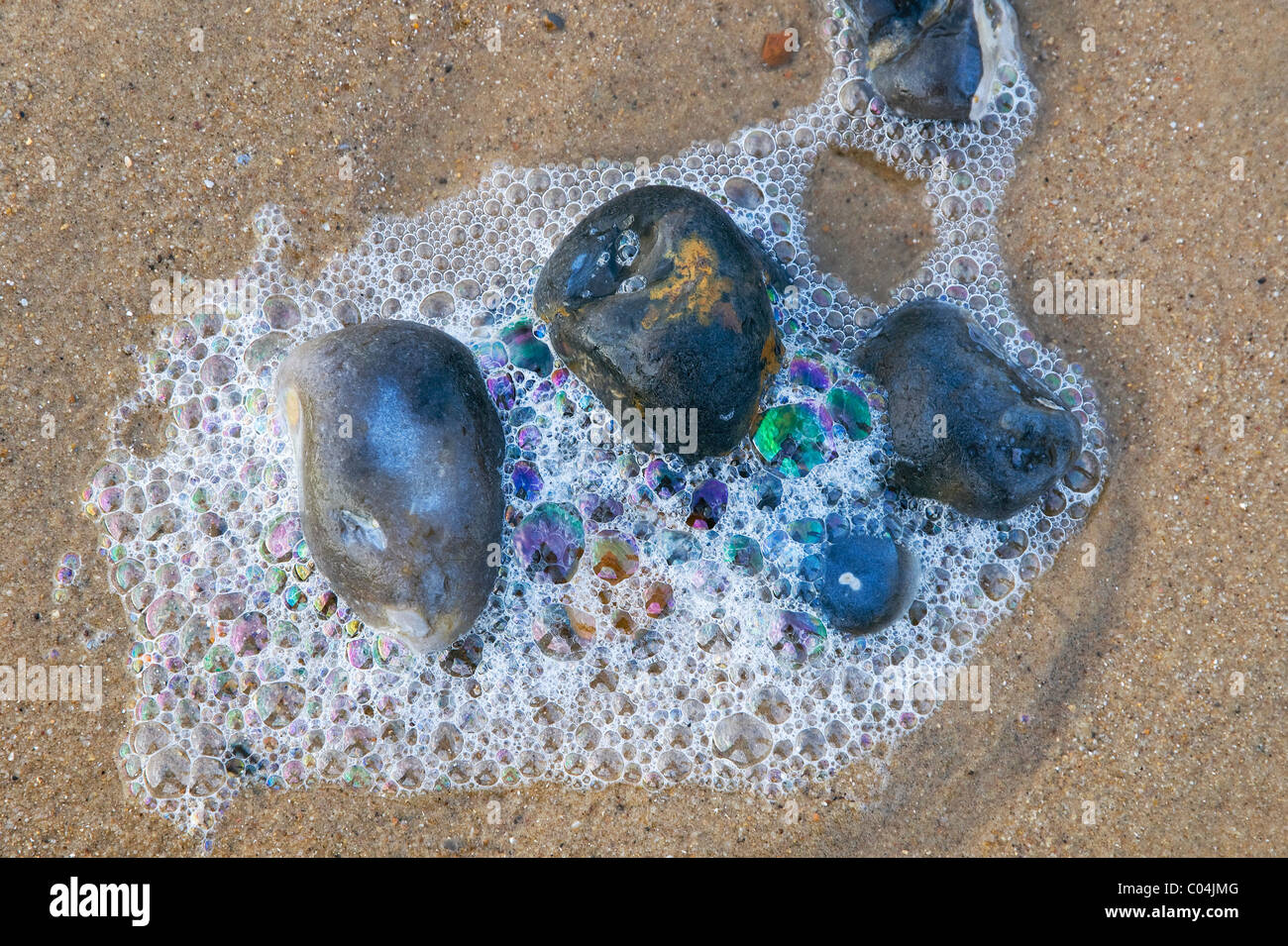 seaside pebbles and foam bubbles on beach Stock Photo Alamy
