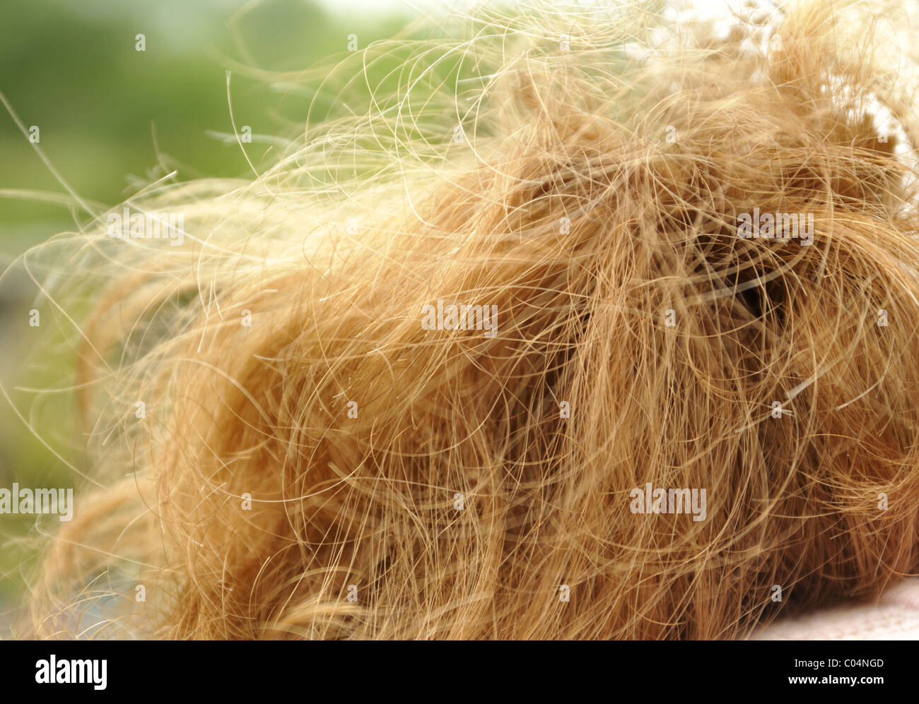 Hair up hi-res stock photography and images - Alamy