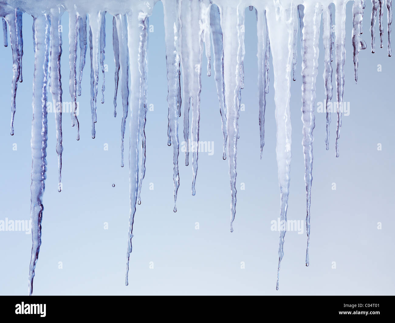 Melting icicles isolated on light blue background Stock Photo
