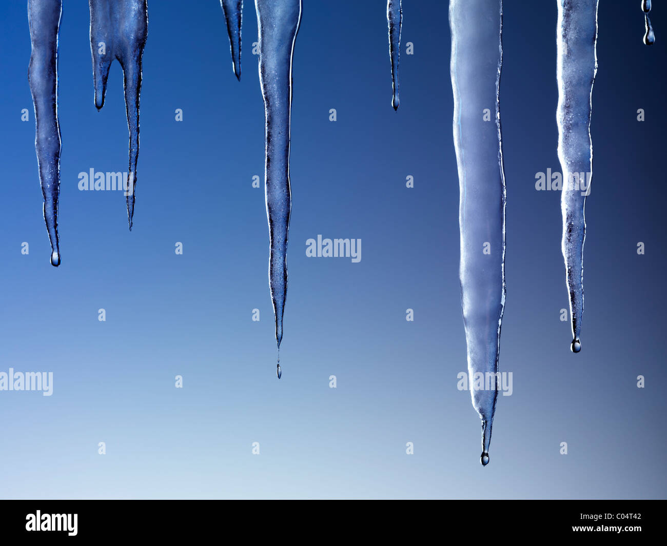 Melting icicles isolated on blue background Stock Photo