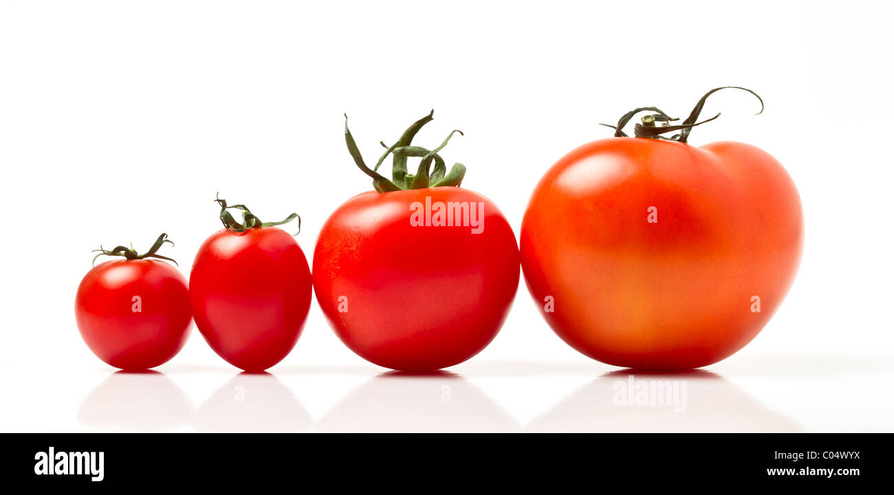 Tomato line up of four different varieties isolated on white. Stock Photo