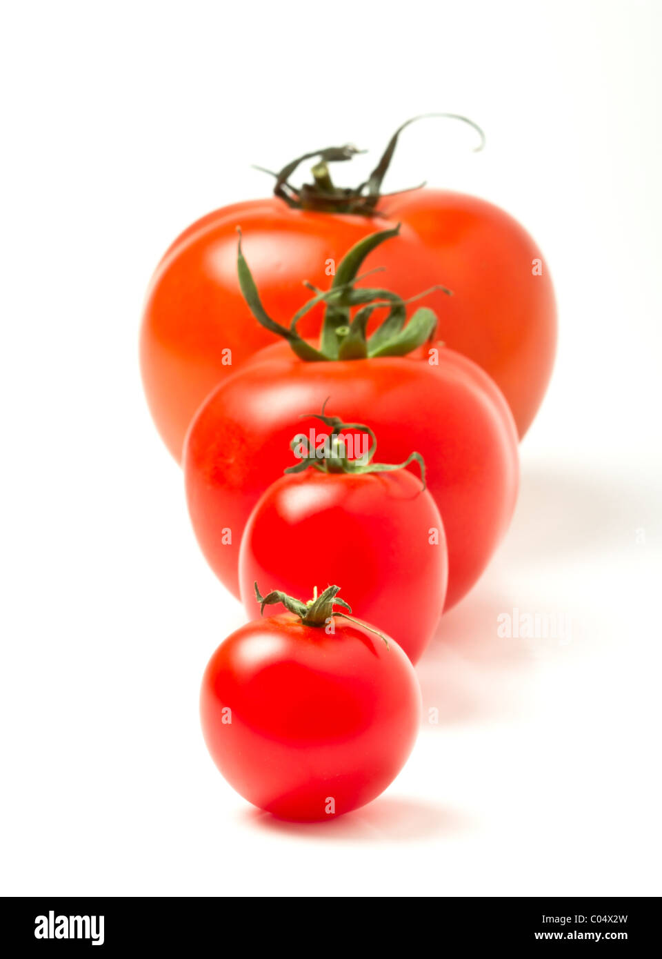 Tomato line up of four different varieties isolated on white. Stock Photo
