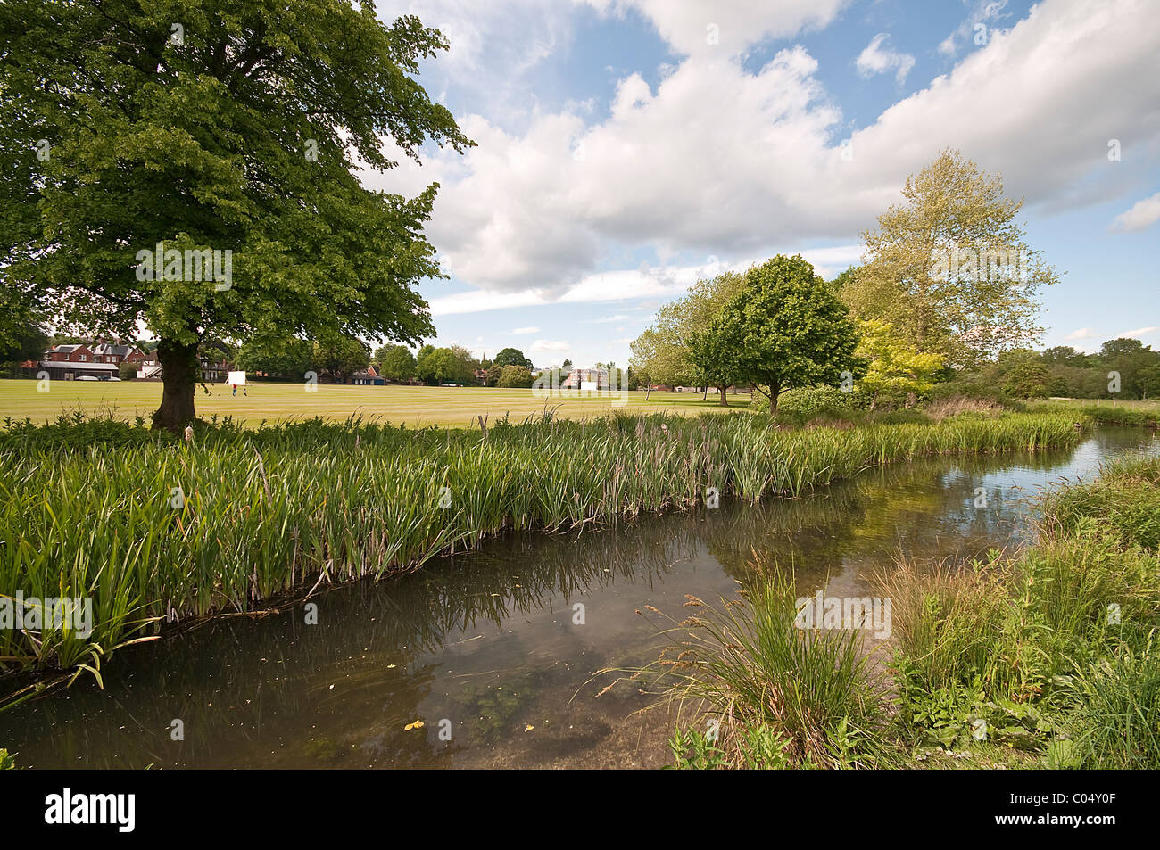 Footpath going through the water meadows and by River Itchen in Winchester, Hampshire, England, UK Stock Photo