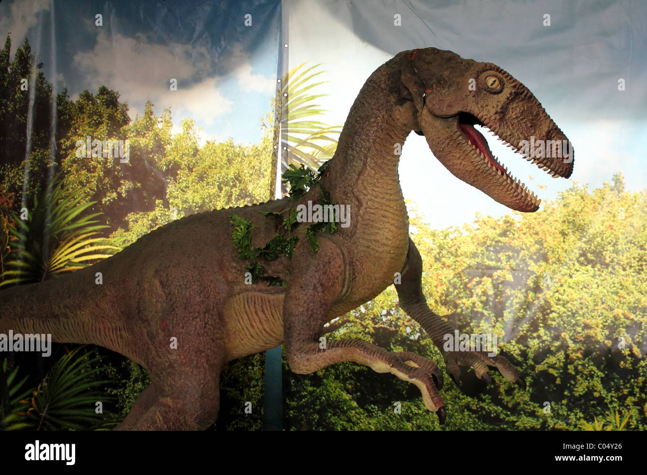 Dinosaur - raptor Stock Photo