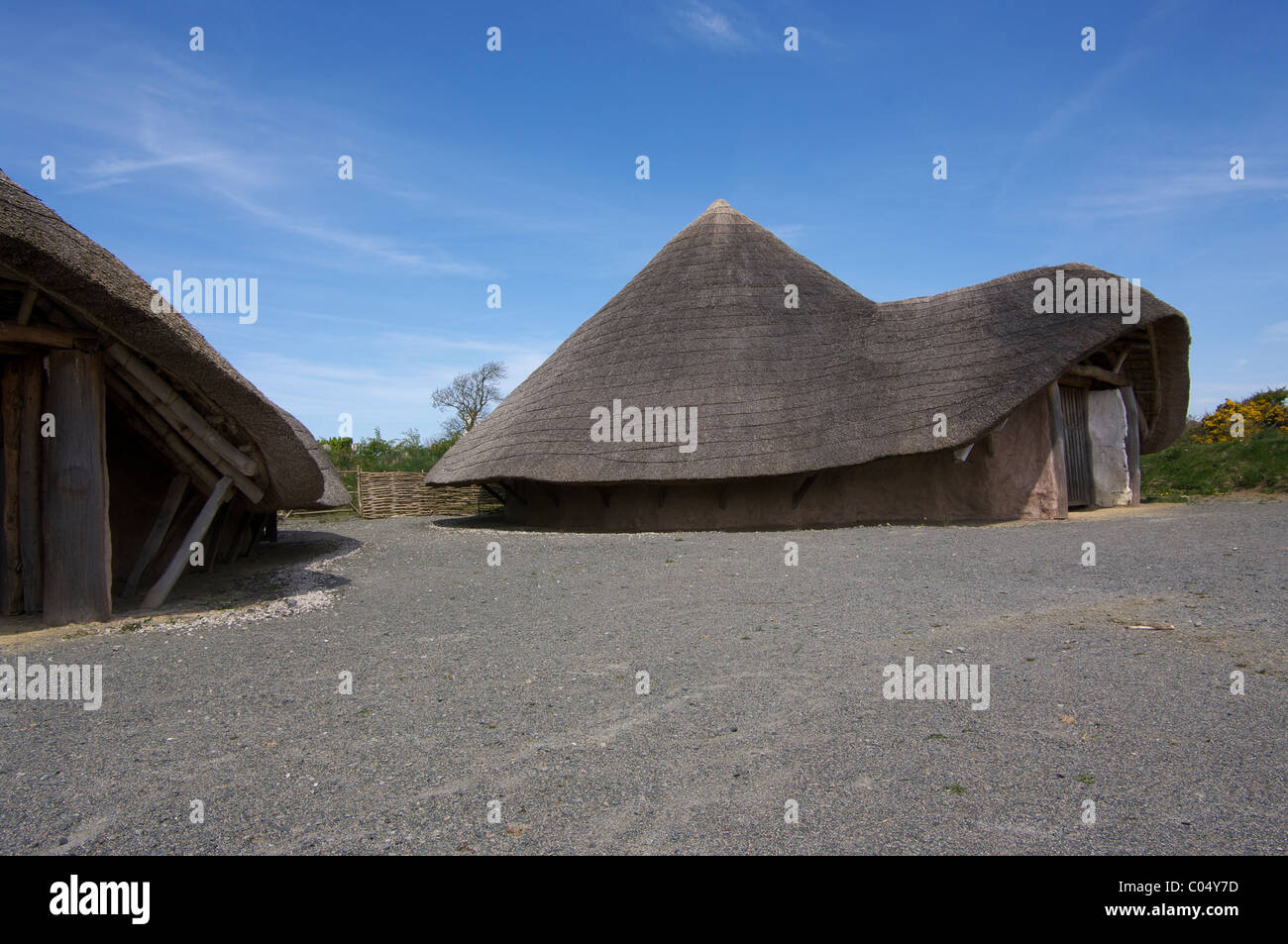 Iron age hunts on the Anglesey island Stock Photo Alamy