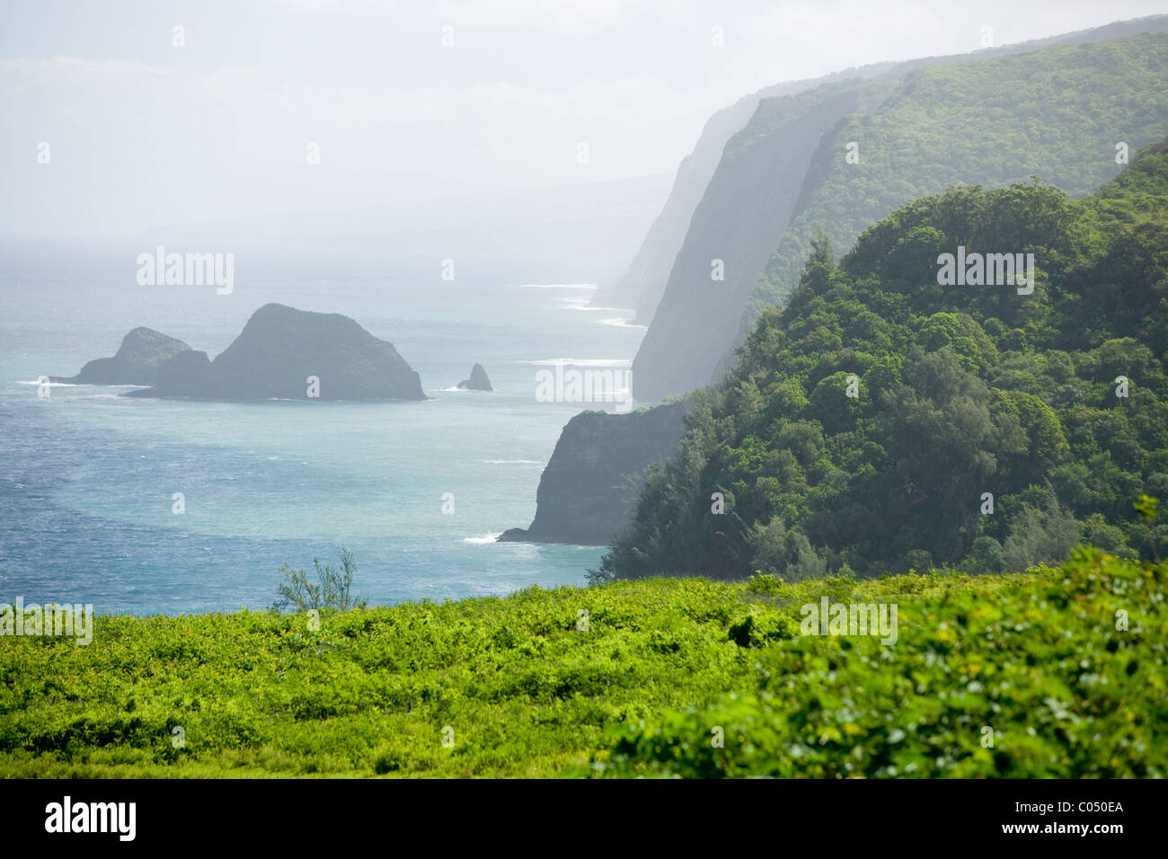 Pololu Valley, Hawaii Stock Photo