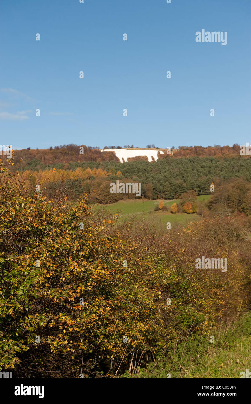 Yorkshire white horse on hillside hires stock photography and images