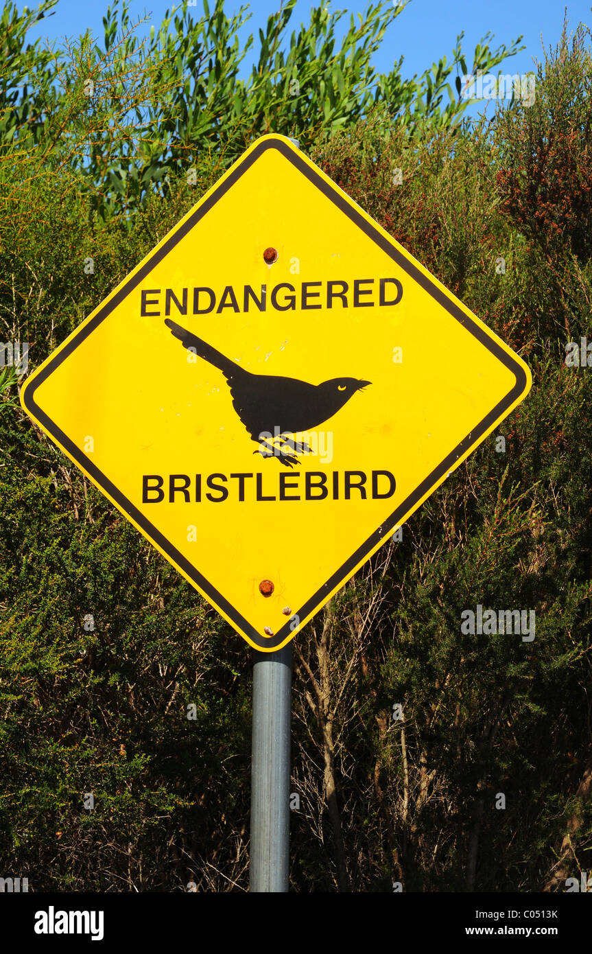 Road signs to protect the bristlebird in Australia Stock Photo