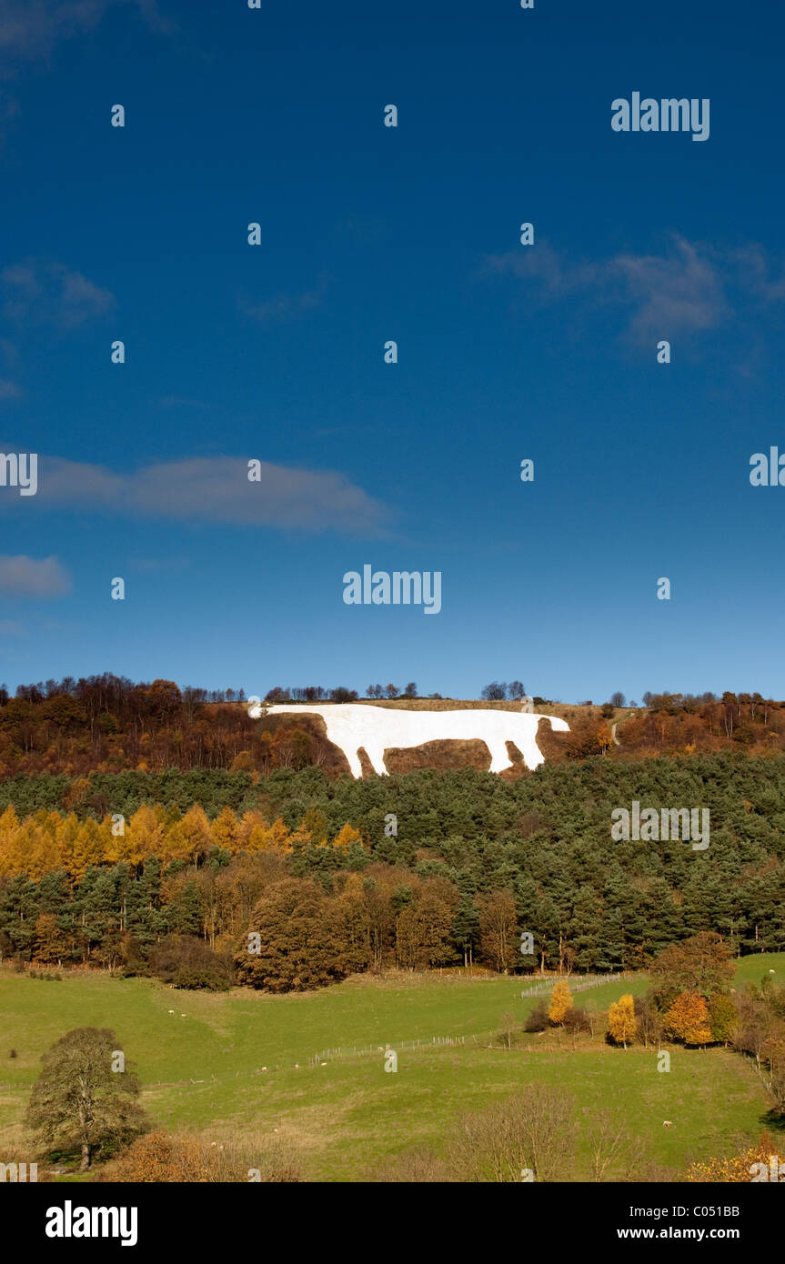 White Horse on the hillside near Kilburn on the Vale of York Stock Photo