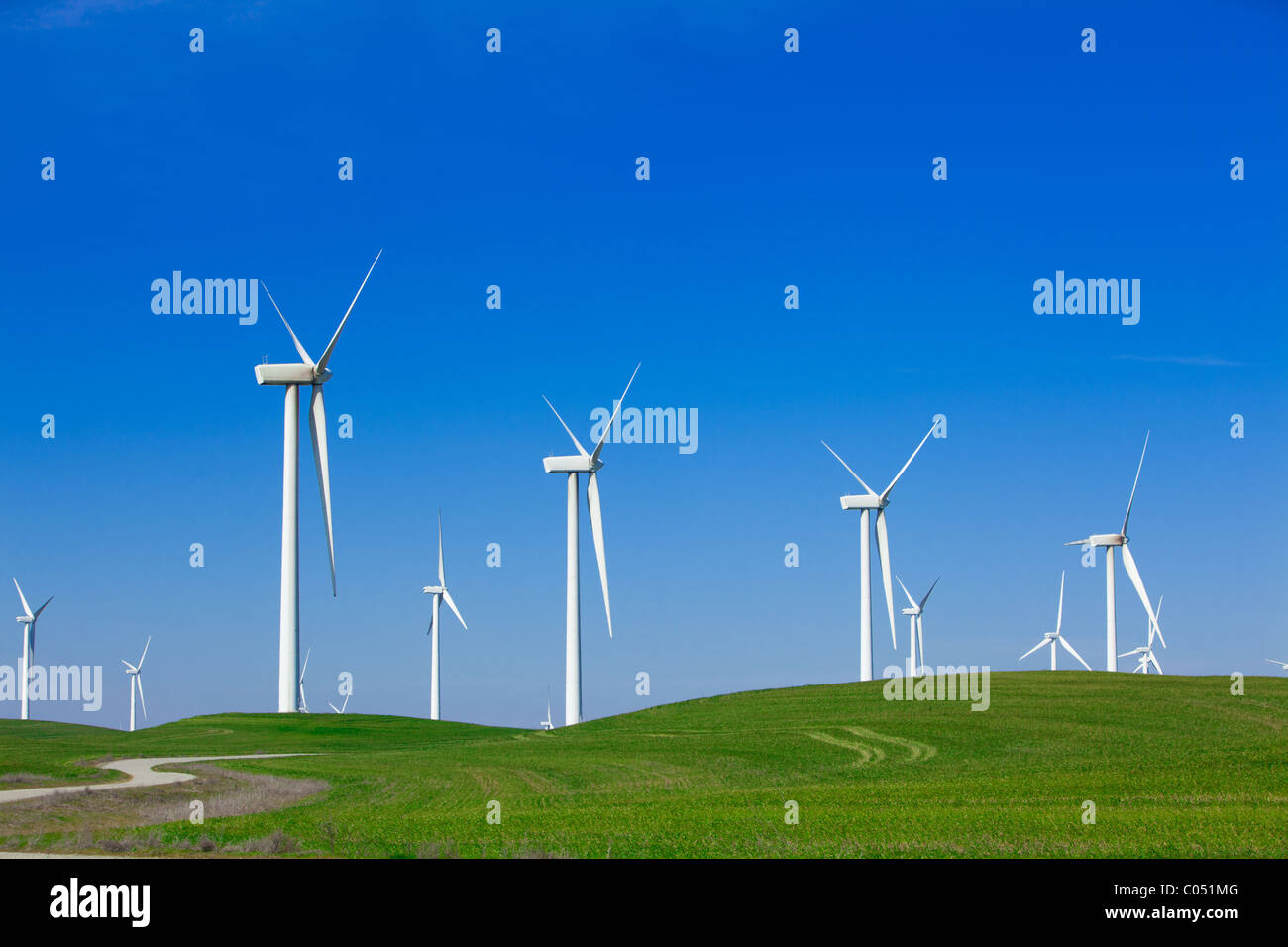 Wind Farm with Blue Sky Stock Photo