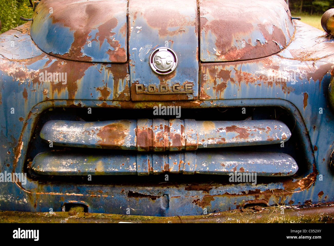 A 1950s rusty vintage farm use blue Dodge Ram flatbed truck in a field along a tree line near the Virginia Blue Ridge Parkway. Stock Photo