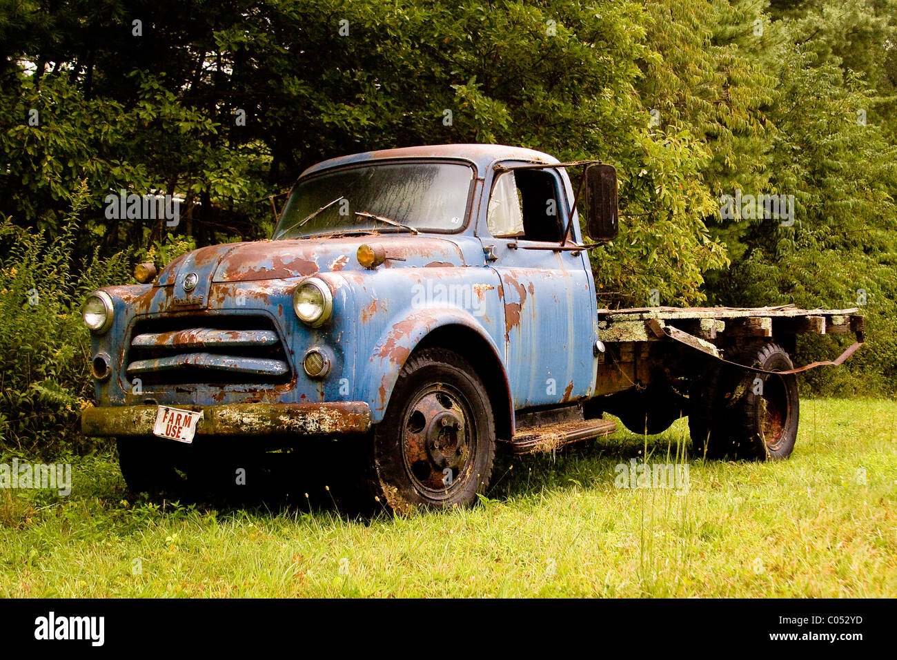 A 1950s rusty vintage farm use blue Dodge Ram flatbed truck in a field along a tree line near the Virginia Blue Ridge Parkway. Stock Photo