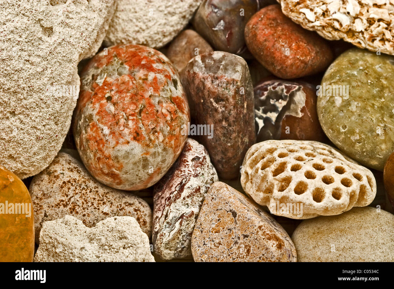 Variety of beach rocks and coquina Stock Photo