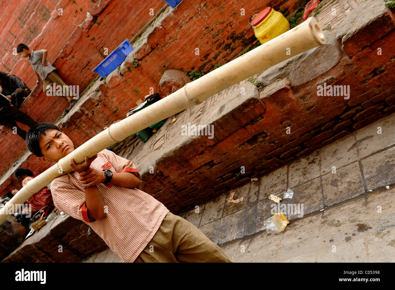 young labourer carrying bamboo, peoples lives ( the nepalis ) , life in