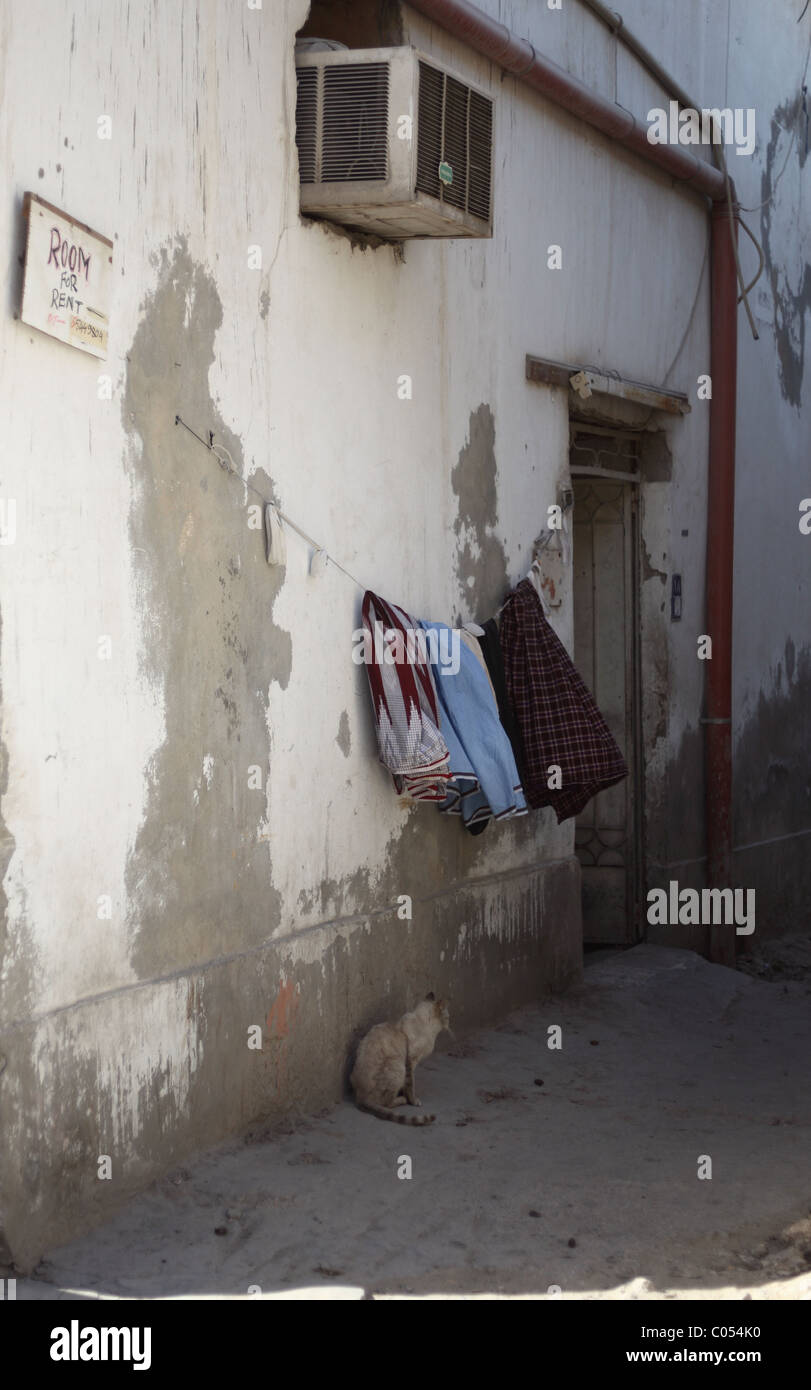 A cat sits under the washing line in an alley in central Doha, Qatar, while a 'room for rent' sign on the wall advertises Stock Photo